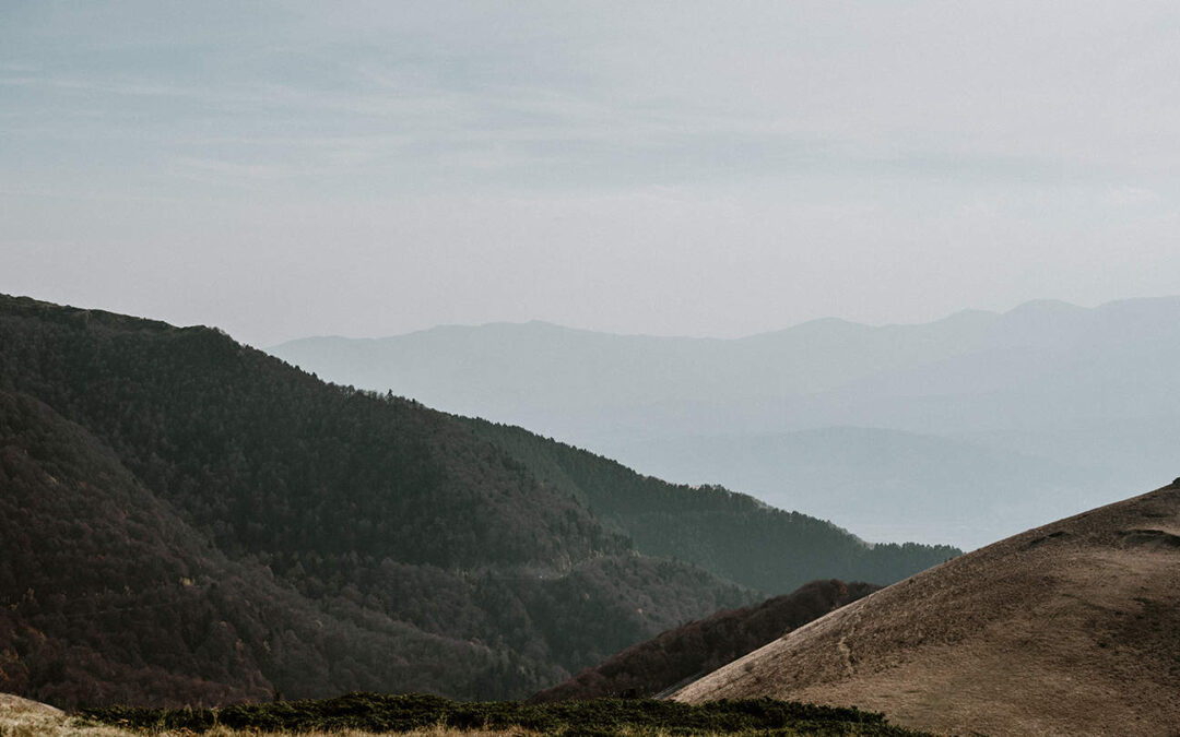 What Is Small-t Trauma? And Why It Matters More Than You Think